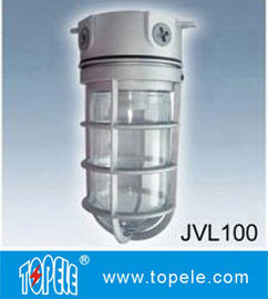 100W 220V Bronzene, Graue IP65 Druckguss Aluminium Dampfffeste, Led-Fludscheinwerfer