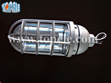 100W 220V Bronzengraue IP65 Dampfschutzleuchten